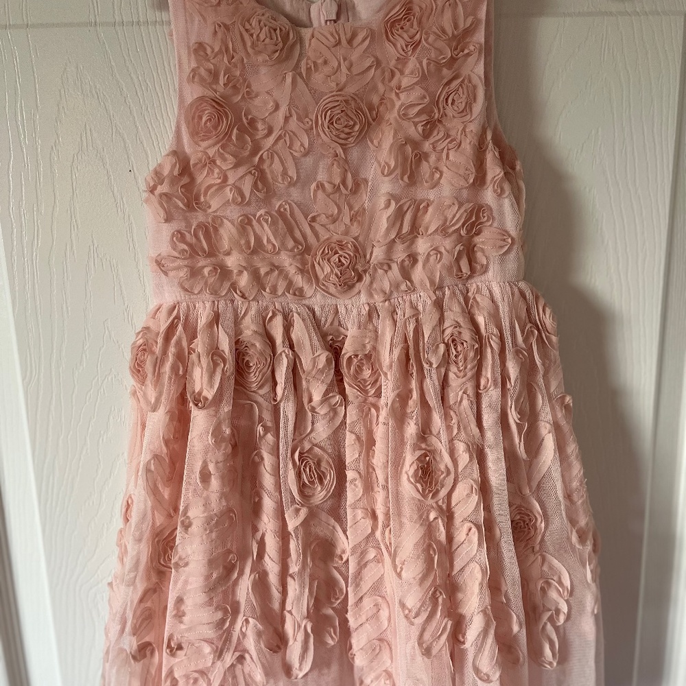 Pipa & Julie blush soutache tulle fit & flare dress